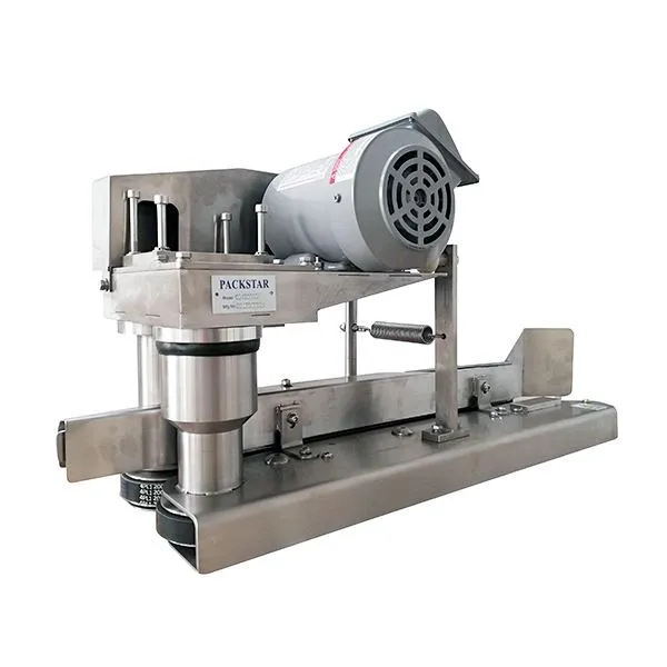 Stainless Steel Bag Infeed Machine CP-4900-SS suppliers